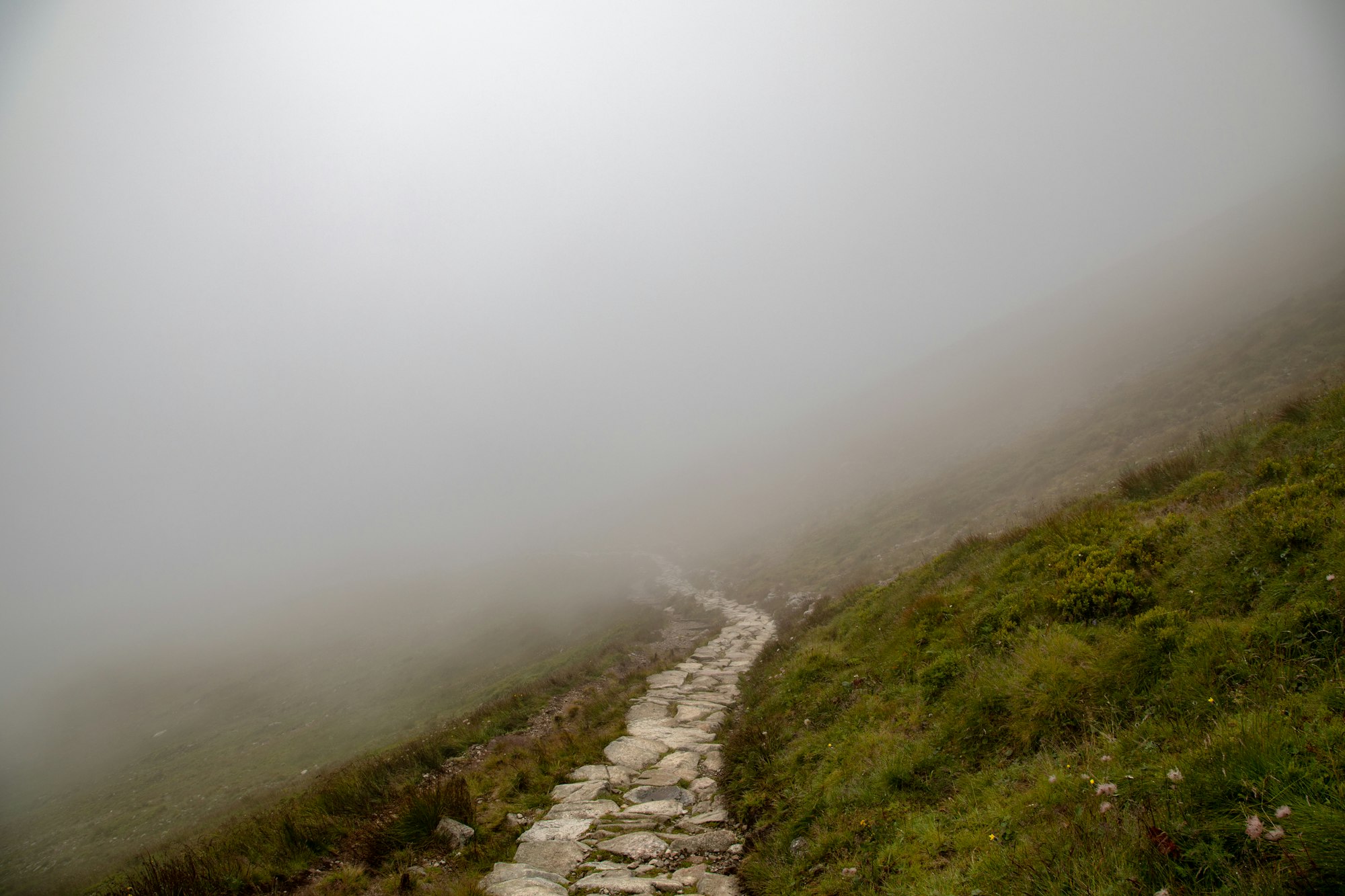 A foggy path on a grassy hill, evoking the feeling of moving forward through uncertainty