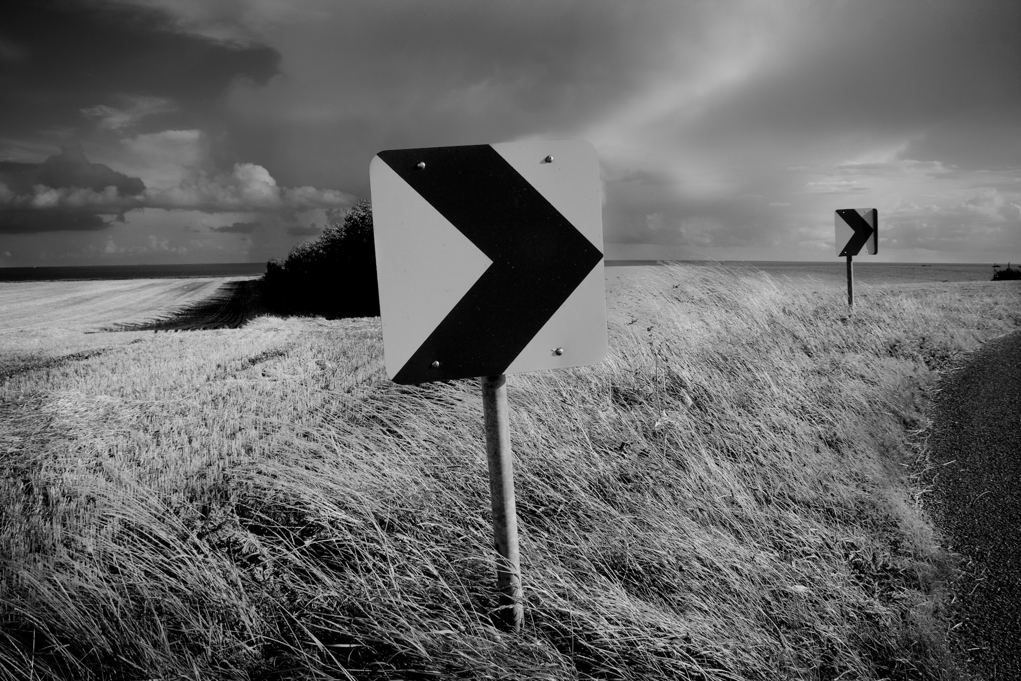 White and black road sign pointing in different directions