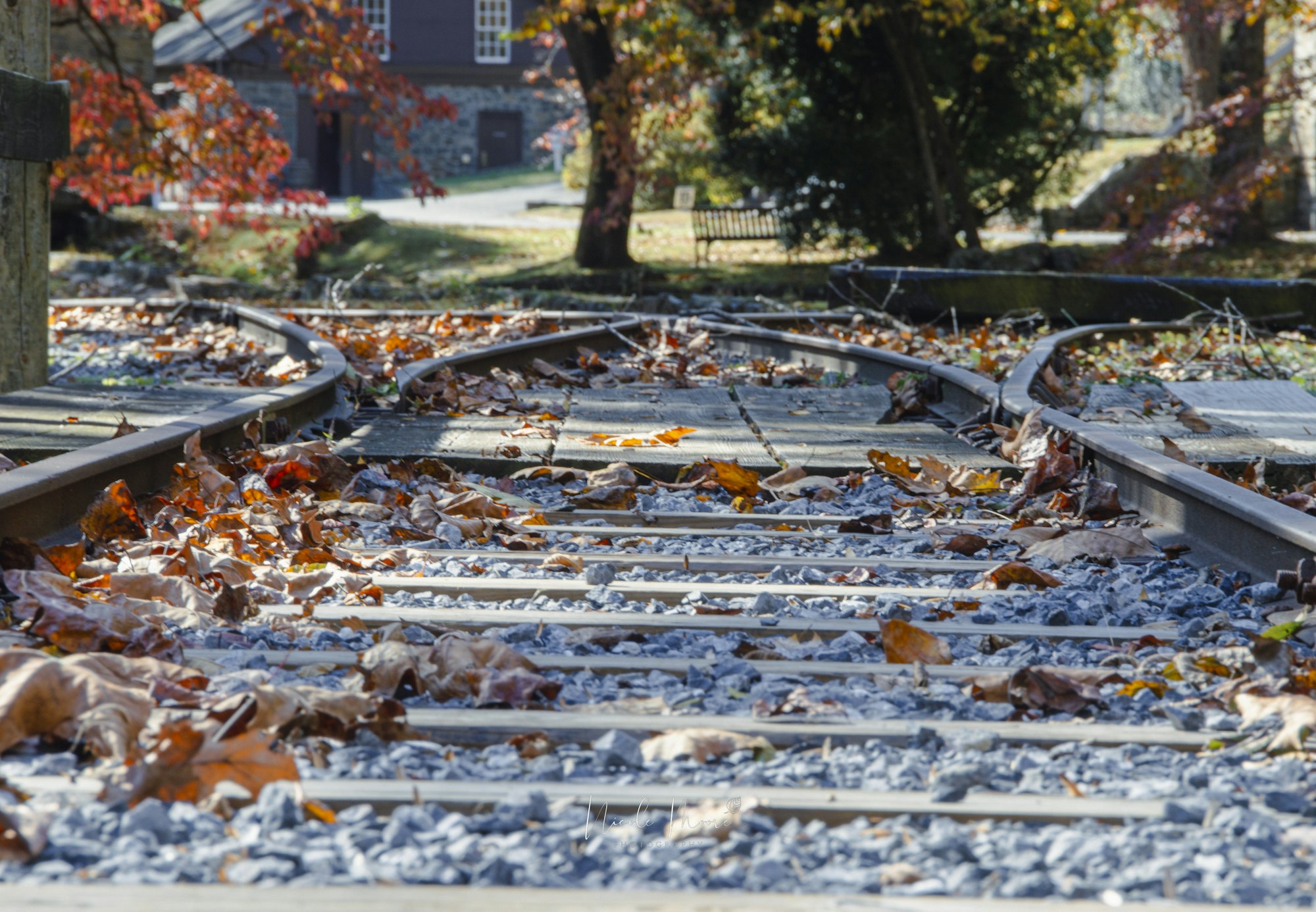 Train tracks diverging in different directions, covered in autumn leaves