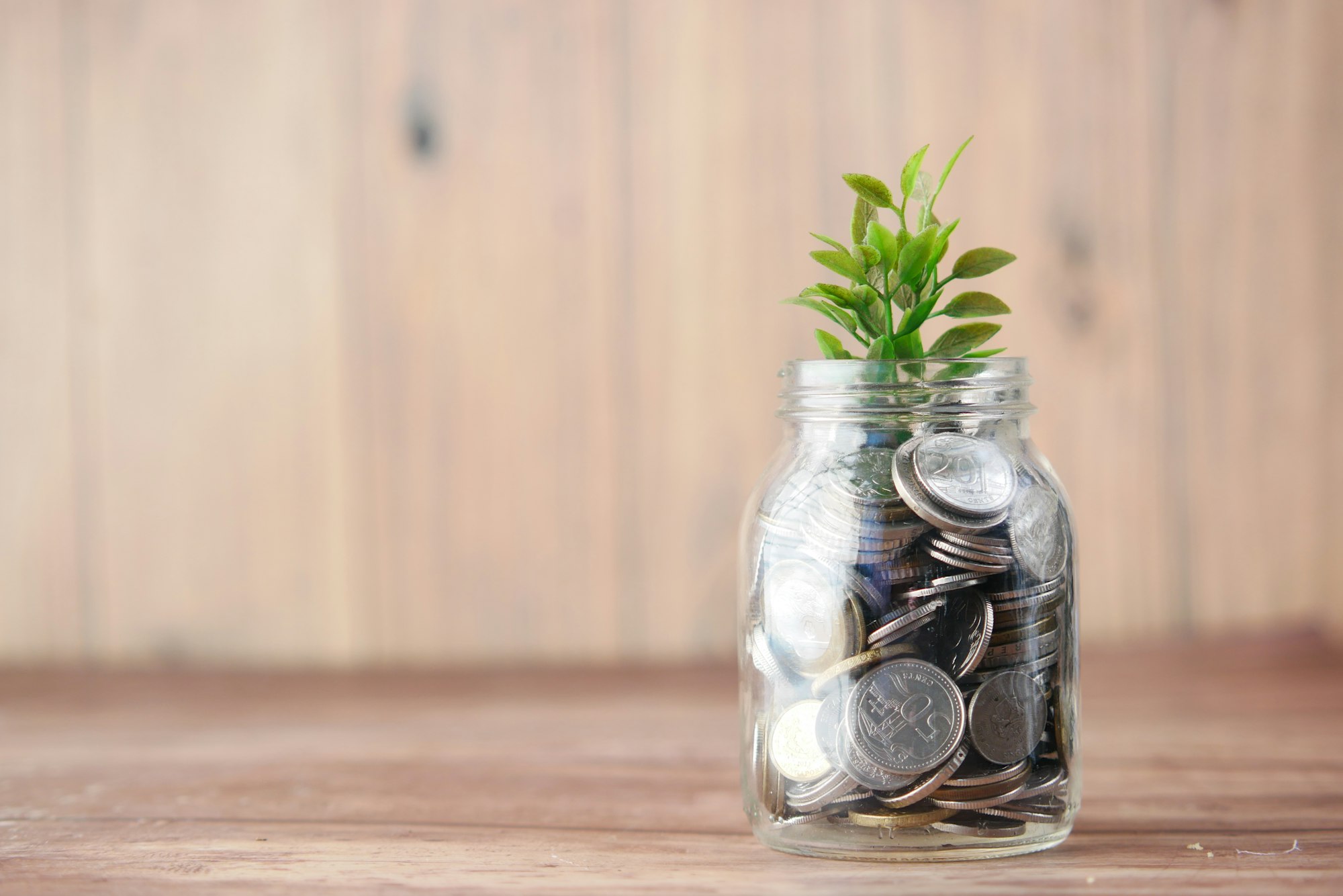 A glass jar filled with coins and a small plant