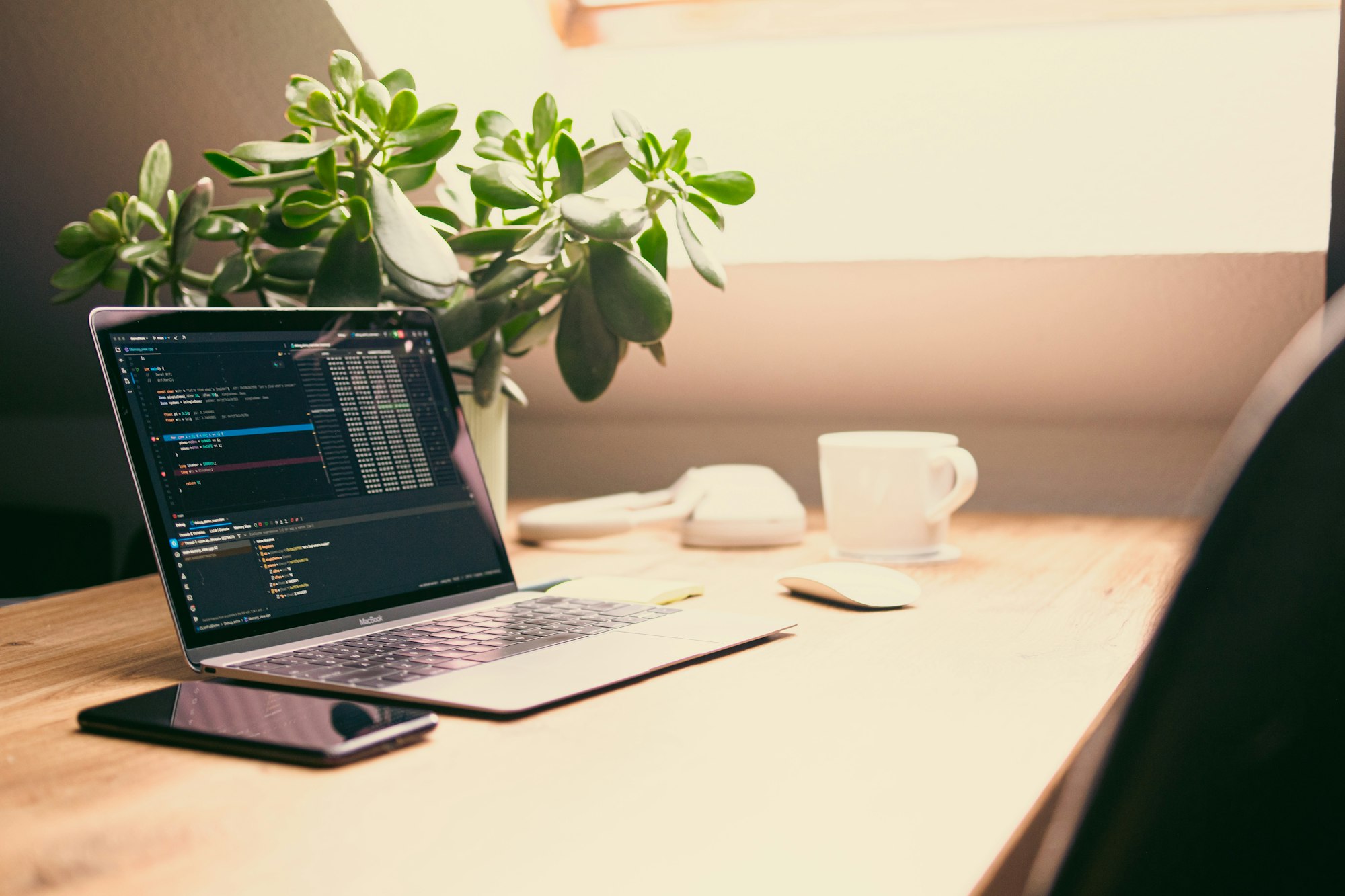 Laptop with code, plant, and coffee cup on desk