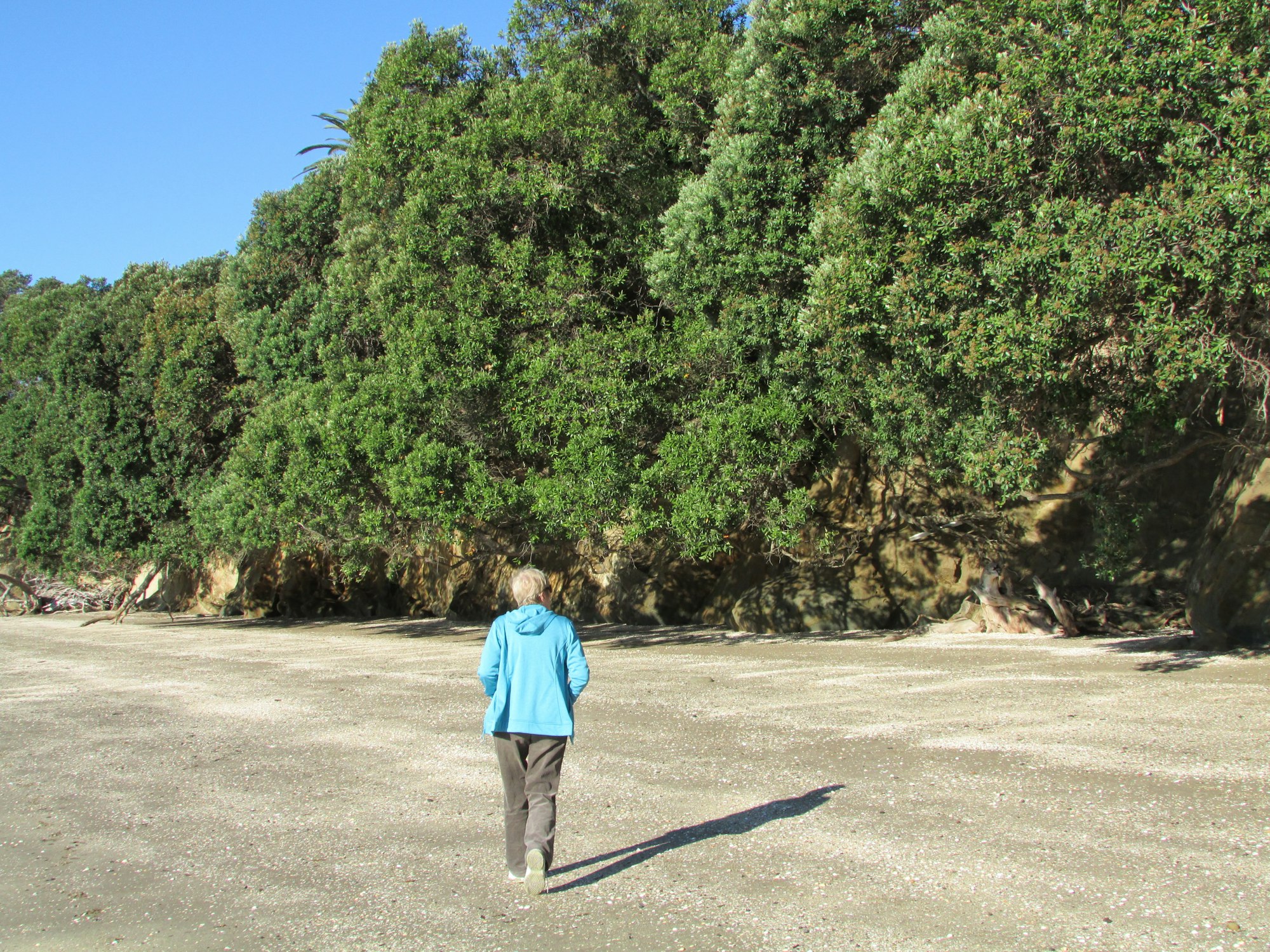 Woman in blue long sleeve shirt standing on gray asphalt road during daytime