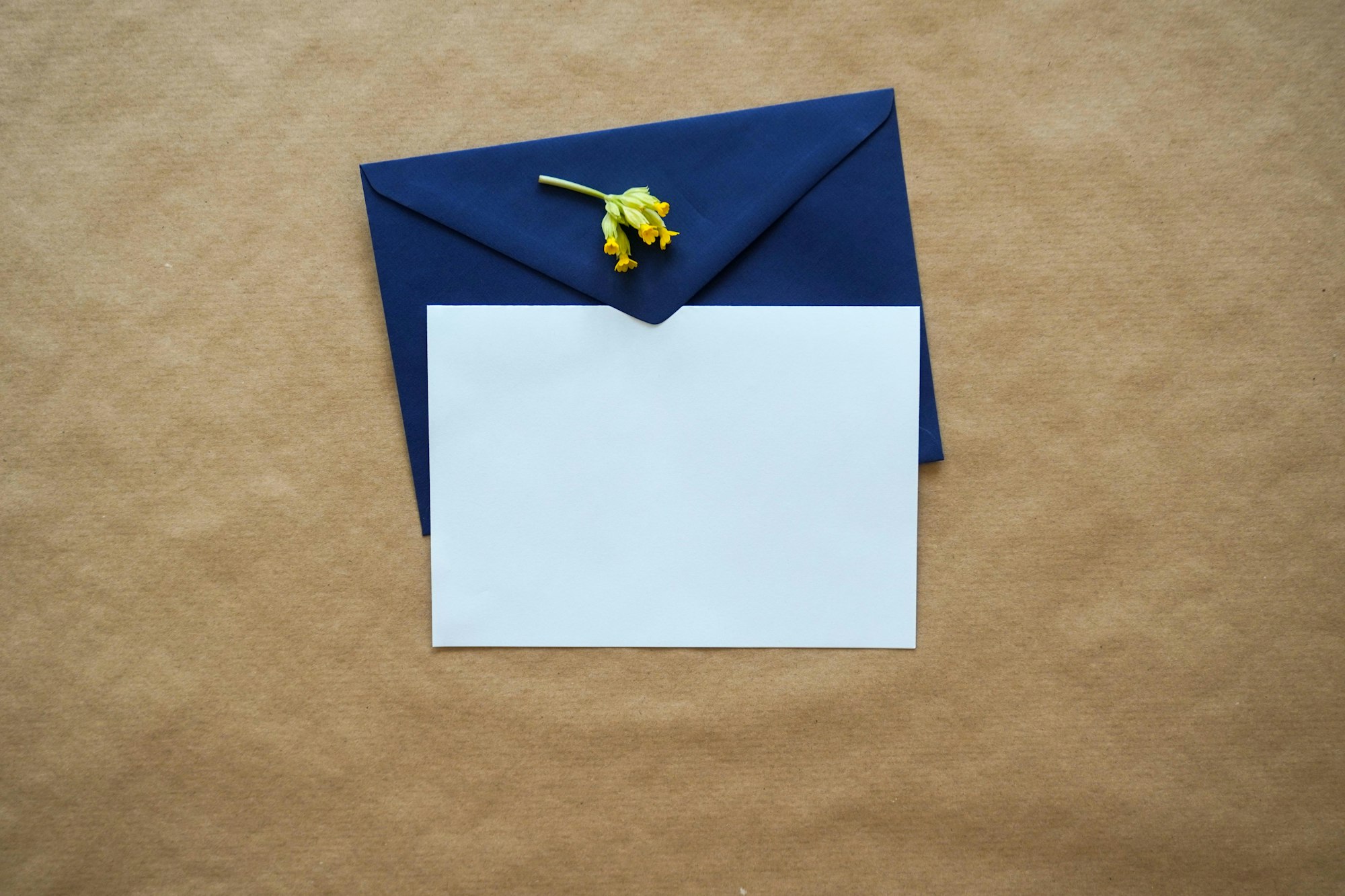 Blue envelope with a note and flower on brown paper