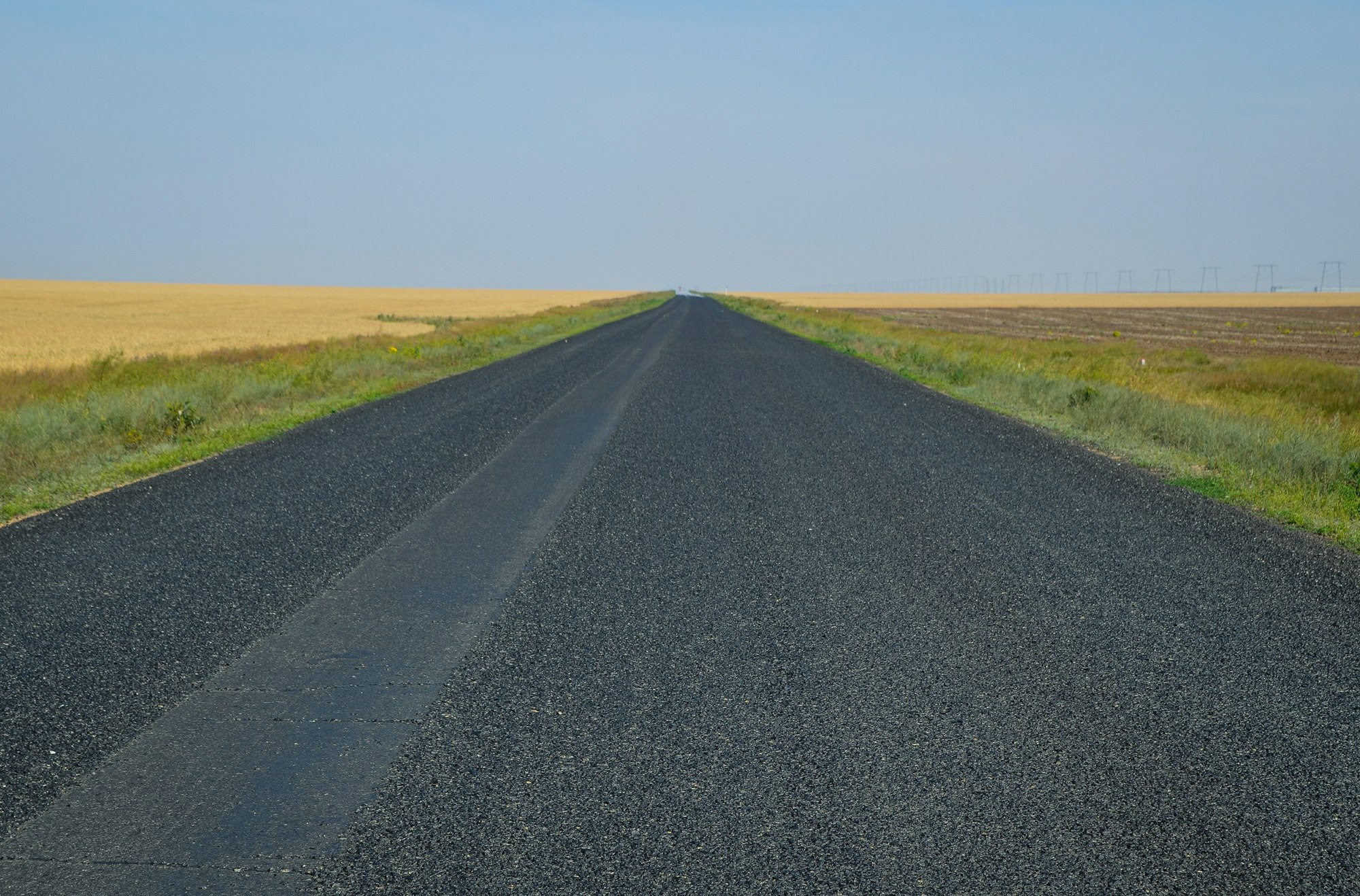 An empty asphalt road stretching to the horizon through golden fields