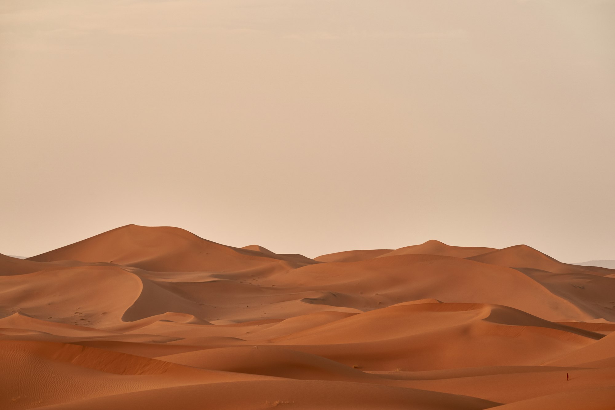 Rolling sand dunes in a vast desert landscape