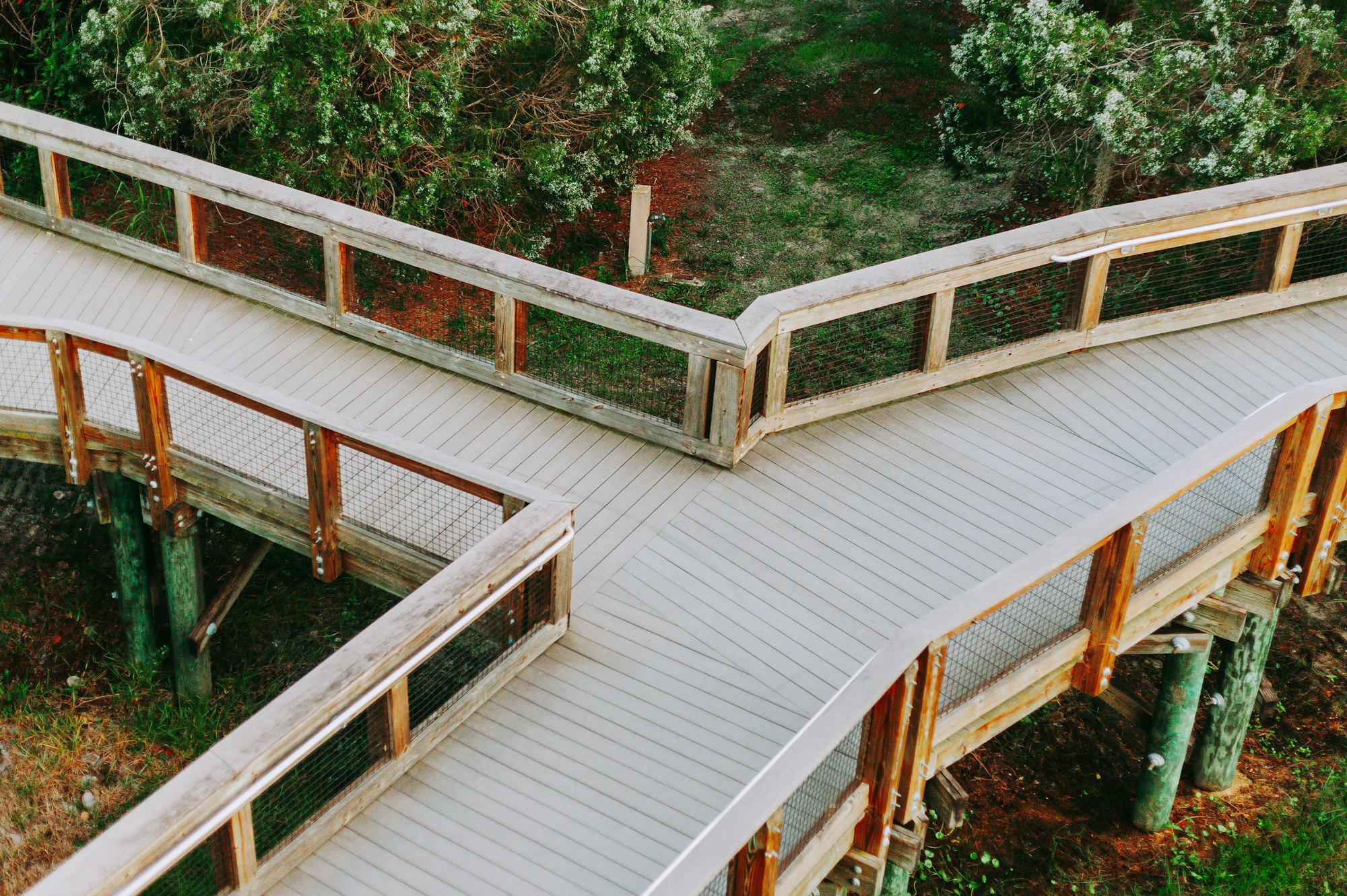 An aerial view of a wooden walkway in the woods