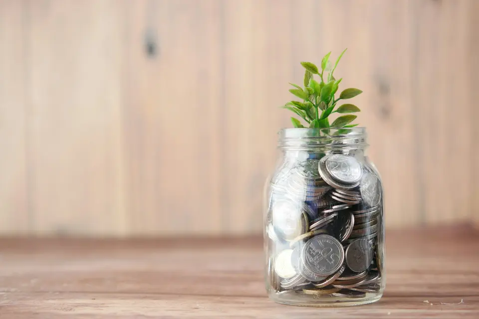 A glass jar filled with coins and a small plant